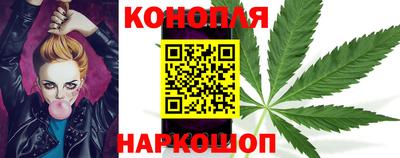 шишки Коммунар