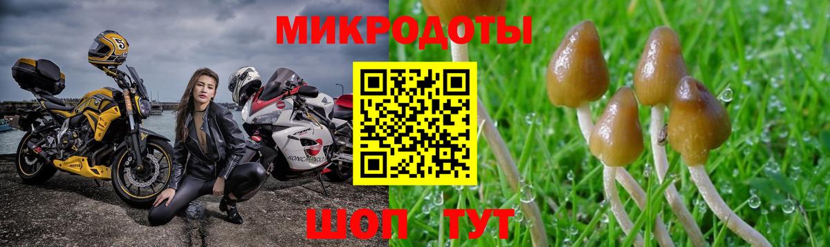 Галлюциногенные грибы прущие грибы  Вход с VPN  Стрежевой  Галлюциногенные грибы ЛСД 